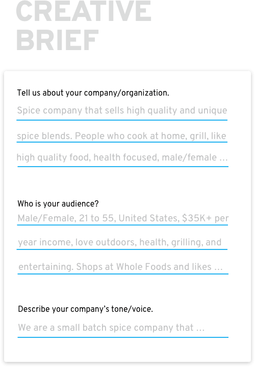 first step of how crowdspring works is writing the creative brief