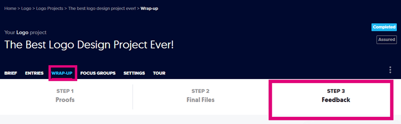 Step 3 Wrapup Feedback